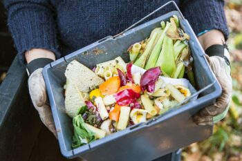 food loss and waste