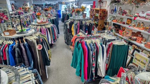 Thrift Shopping: An Eco-Friendly Alternative to Buy Clothes - Waste4Change