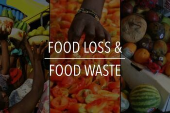food waste