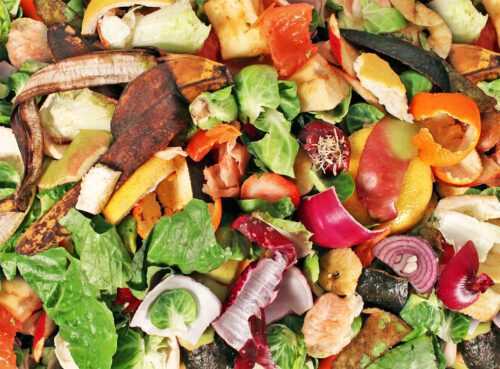 sampah organik dapat menimbulkan masalah lingkungan dan kesehatan