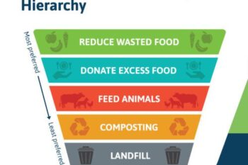 Food Recovery Hierarchy Waste4Change