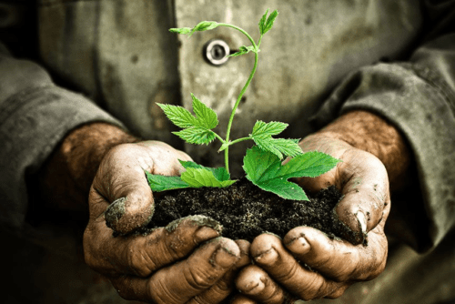 konsep green living