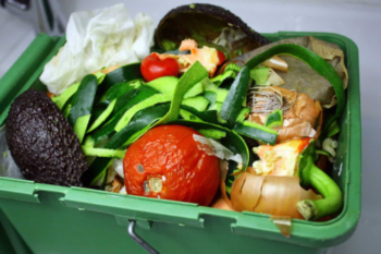sampah organik