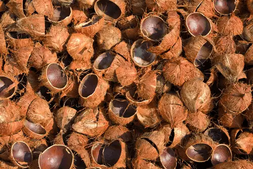 sampah organik dari batok kelapa